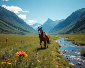 Mit dem Pferd durch unberührte Natur