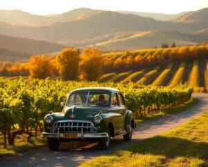 Oldtimer-Fahrten durch die Weinberge