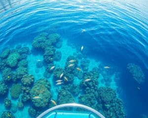 Unterwegs im Glasbodenboot: Blick in die Tiefe