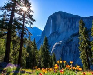 Klettern im Yosemite-Nationalpark, Kalifornien