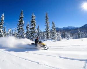 Schneemobilfahren in Fairbanks, Alaska