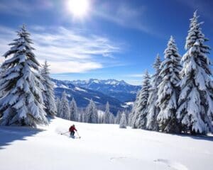 Verbier: Schweizs Hotspot für Tiefschneeabenteuer