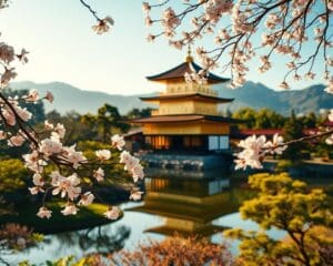 Warum ist Kyoto ein besonderes Reiseziel?